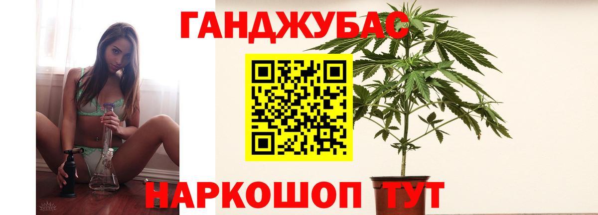 Бошки Шишки планчик Коркино
